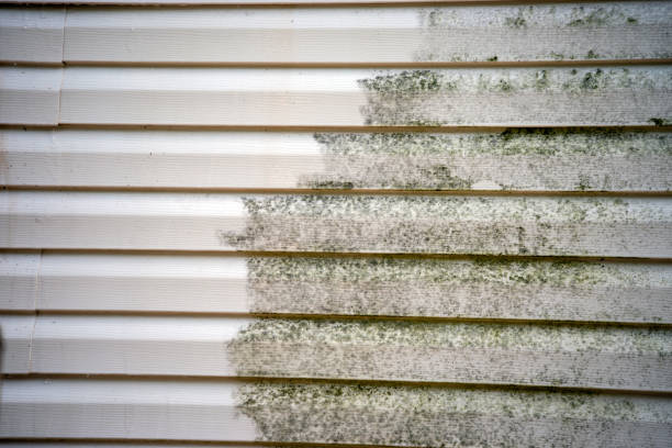 Best Mattress Disposal  in Woodbridge, CA